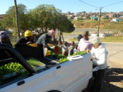when we pulled the truck up, people came out ready for their plants.